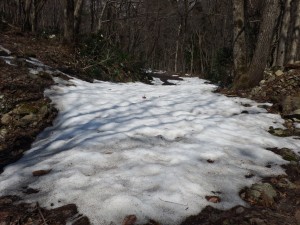 椿登山口から30ｍほど入るとご覧の通り