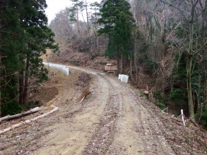 道路わきの木々伐採により道幅は広く感じます。