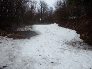 登山口手前約３００m付近の様子