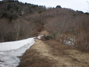 追分地点の状況