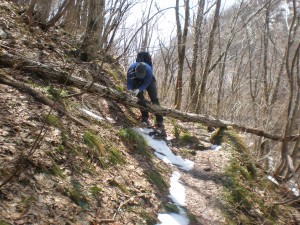 登山道整備