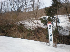 カレー清水