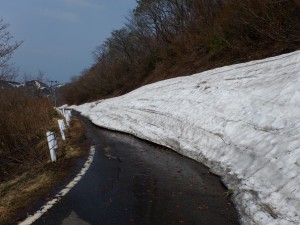 佐渡縦貫線の残雪