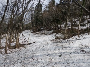 登山道には多くの残雪があります。