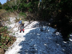 雪解けはもう少し先です。