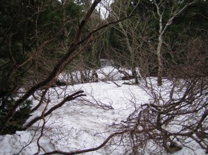 登山道の残雪は多いため、入山はお控えください。