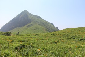 １週間後が楽しみです。