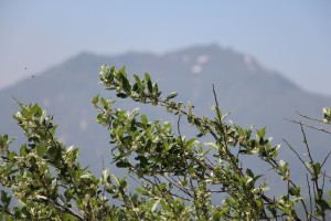 IMG_9967