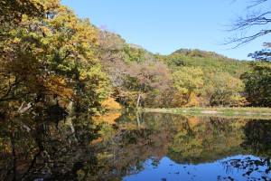 ひょうたん池の紅葉