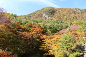 もみじ山の紅葉