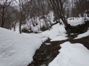 アオネバ登山道入り口付近