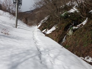 すでに入山者がいます！