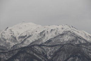 金北山山頂付近