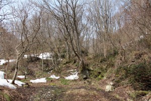 アオネバ登山口