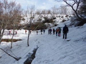 縦貫線は除雪がされていません。要注意!