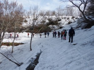 縦貫線は除雪がされていません。要注意！