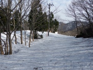 左が金北山従走路入り口、アオネバ十字路までの夏道とショートカットルートにピンクテープをつけました。