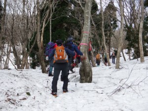 ピンクテー付け