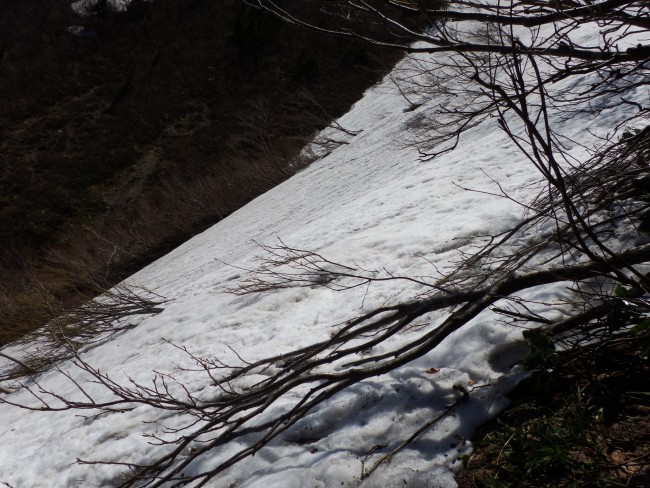 登山道が約２０ｍ、雪に覆われています。
