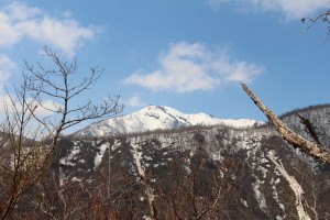 ドンデン線より金北山を望む