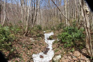 登山道の残雪