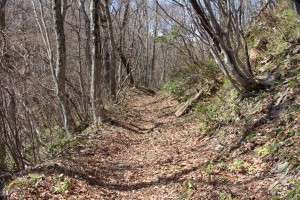 横山の登山道