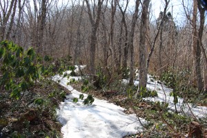 標高４００ｍ付近、野水地蔵手前