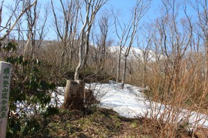 横山登山道合流点、残雪は多くなります。