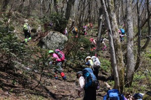 登山道は多くの登山者で賑わっていました。