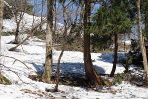 この先アオネバ十字路、雪解けはもうすぐです。