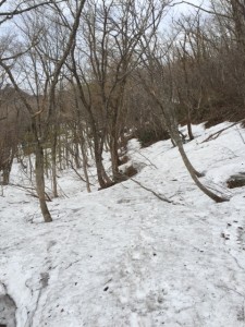 登山道は確認できません。