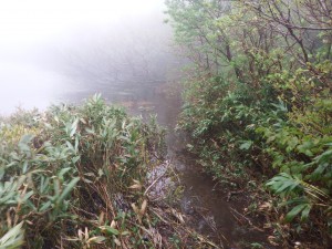 DSCF2553