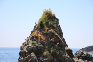 IMG_4604
