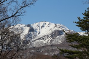 IMG_8159